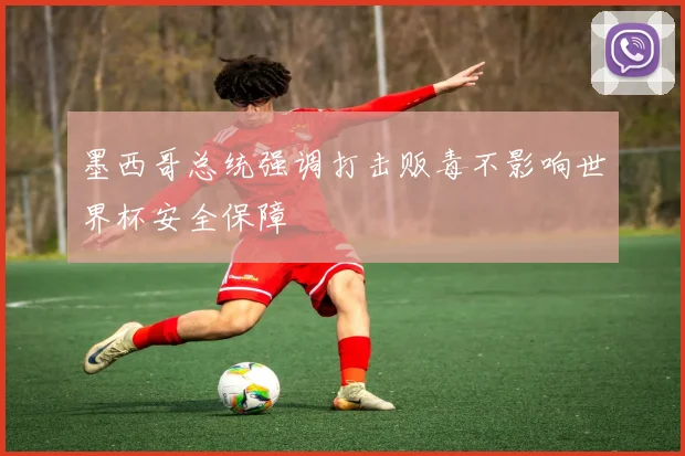 墨西哥总统强调打击贩毒不影响世界杯安全保障